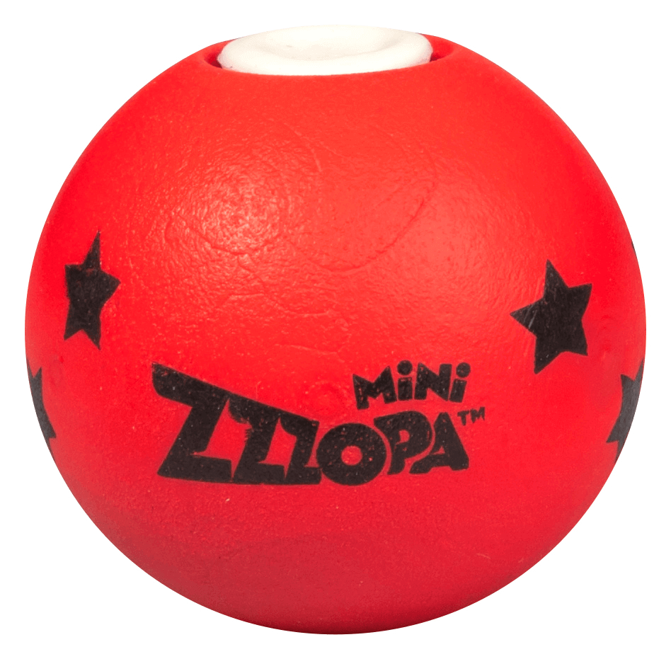 Best Balls for kids Affordable Kids Toys online Zzzopa